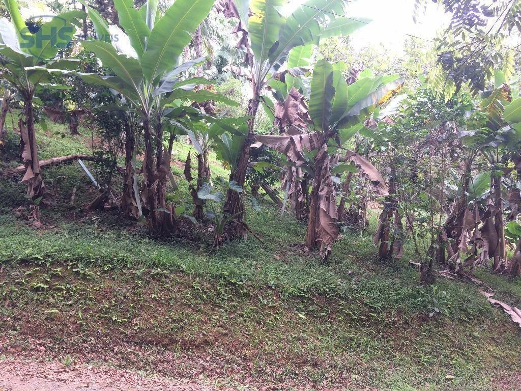 Terreno residencial à venda, Salto do Norte, Blumenau. - foto 1
