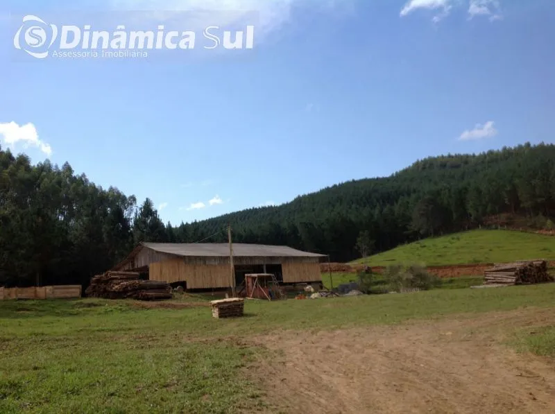 Fazenda em Vitor Meirelles - foto 1