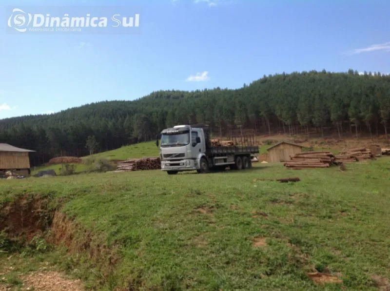 Fazenda em Vitor Meirelles — foto 3