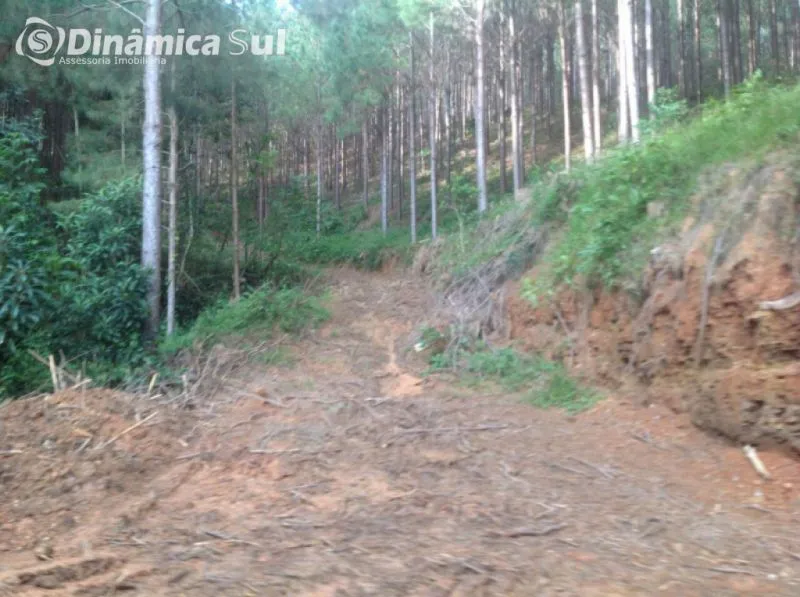Fazenda em Vitor Meirelles — foto 4