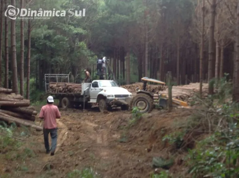 Fazenda em Vitor Meirelles — foto 6