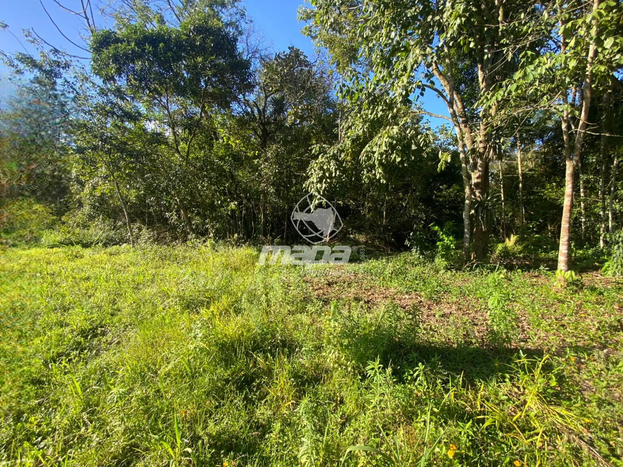 Terreno à Venda no Bairro Pomeranos — foto 4