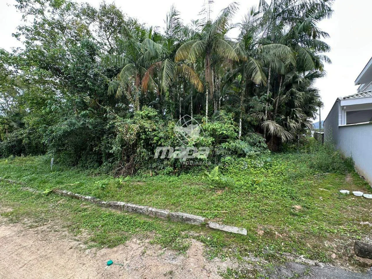 Amplo terreno bem localizado — foto 3