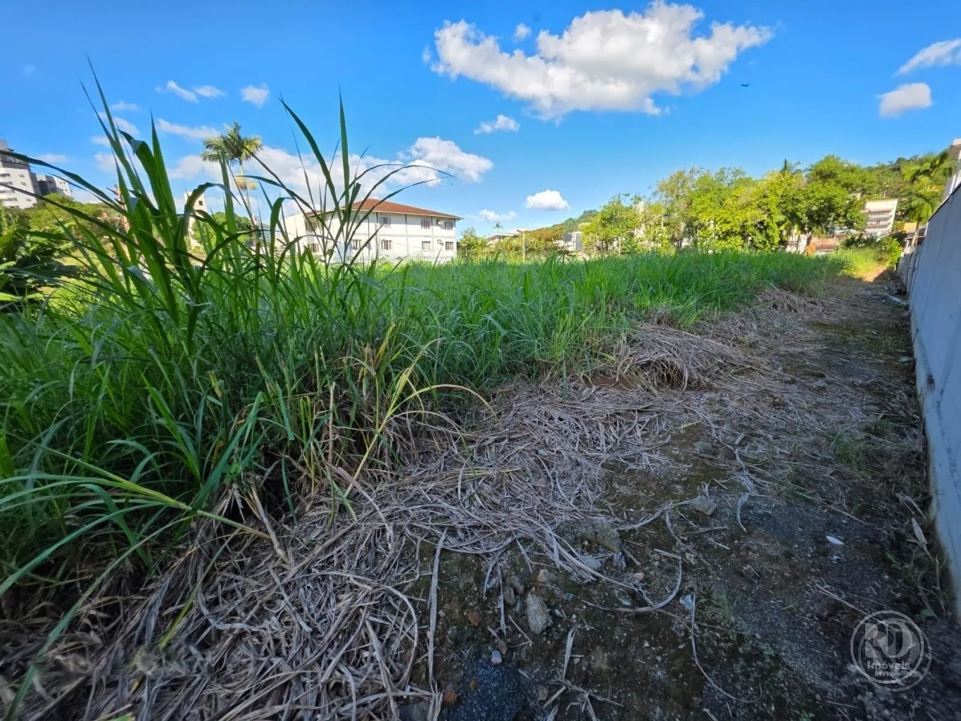 Terreno à venda, 1565m² no Centro, Blumenau - foto 1