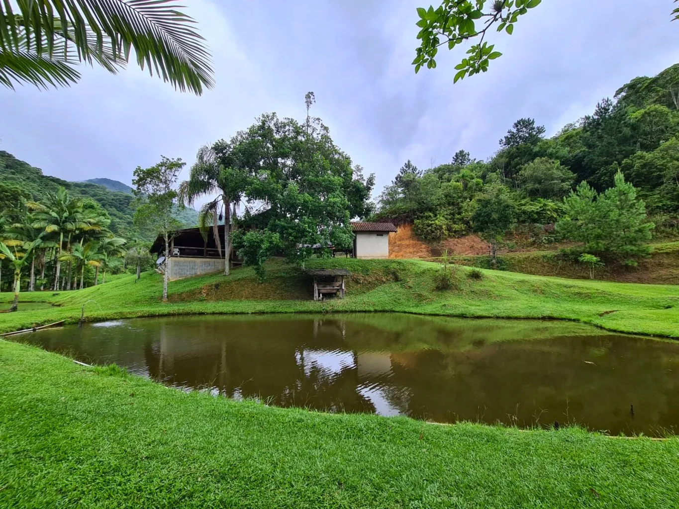 Outros Imóveis à venda com 4 quartos, 2 vagas, 20000m² no Progresso, Blumenau - foto 1