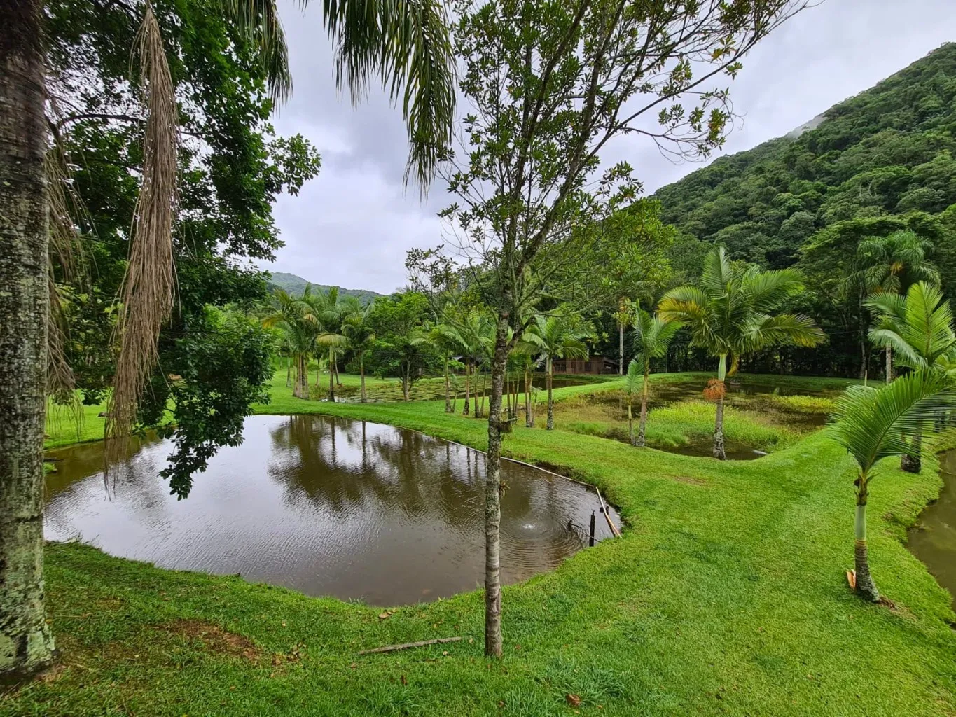 Outros Imóveis à venda com 4 quartos, 2 vagas, 20000m² no Progresso, Blumenau — foto 7