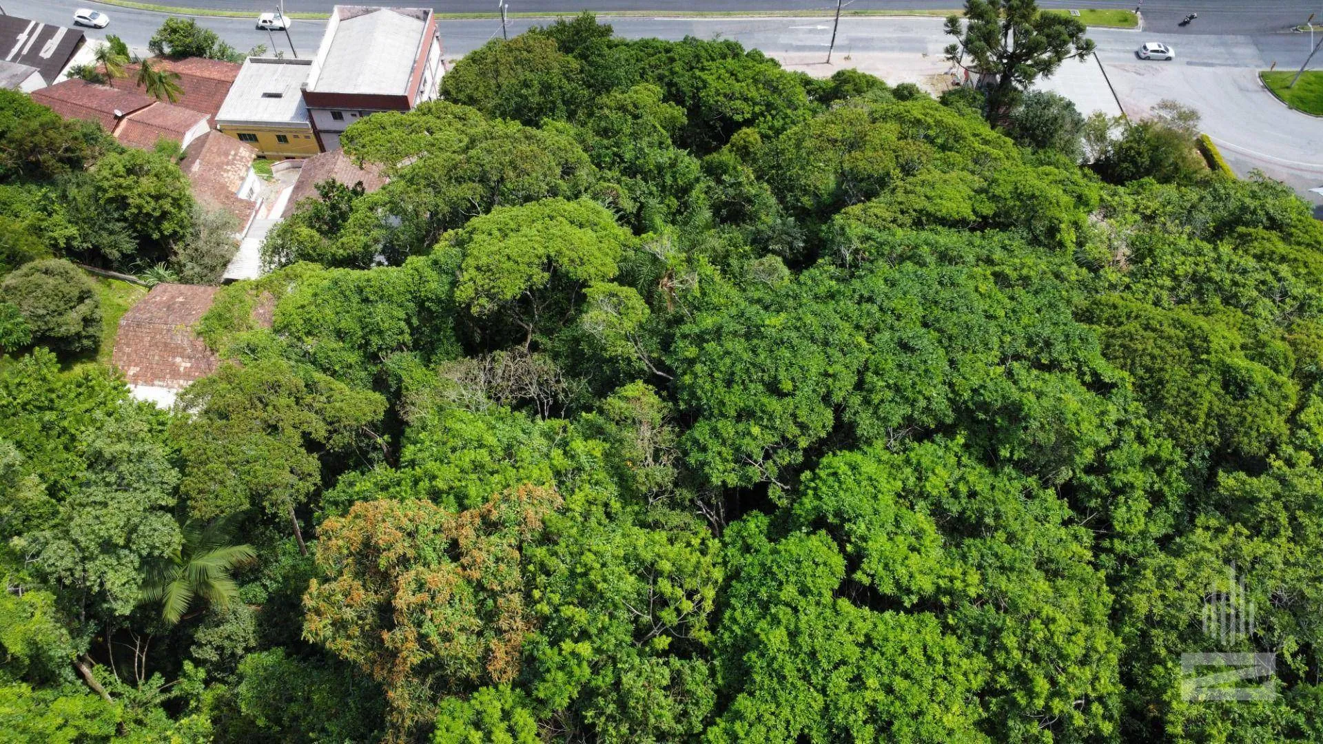 Terreno à venda, 2347 m por R$ 690.000,00 - Ponta Aguda - Blumenau/SC — foto 7