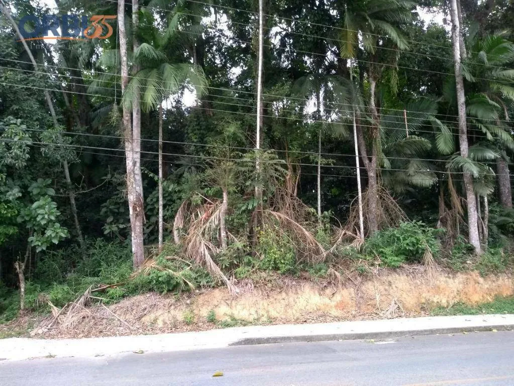 Terreno à venda, 3665 m por R$ 1.200.000 - Salto do Norte - Blumenau/SC | Orbi Imóveis - foto 1