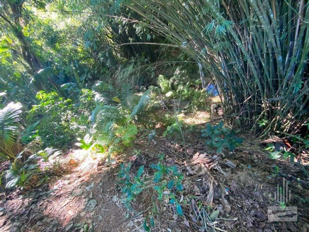 Terreno à venda, 1140 m por R$ 700.000,00 - Garcia - Blumenau/SC — foto 7