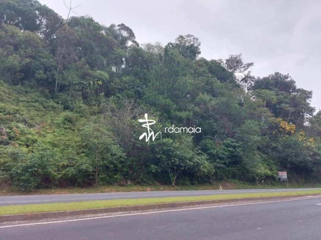 Terreno Via Expressa Blumenau - foto 1