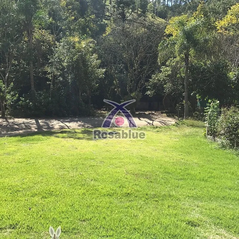 SITIO VITOR MEIRELES — foto 6