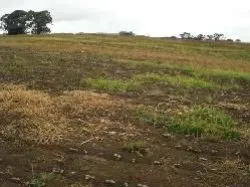 Alfredo Wagner SC — foto 5