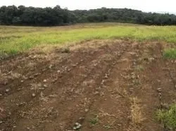 Alfredo Wagner SC — foto 6