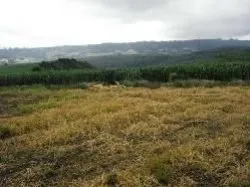 Alfredo Wagner SC — foto 7