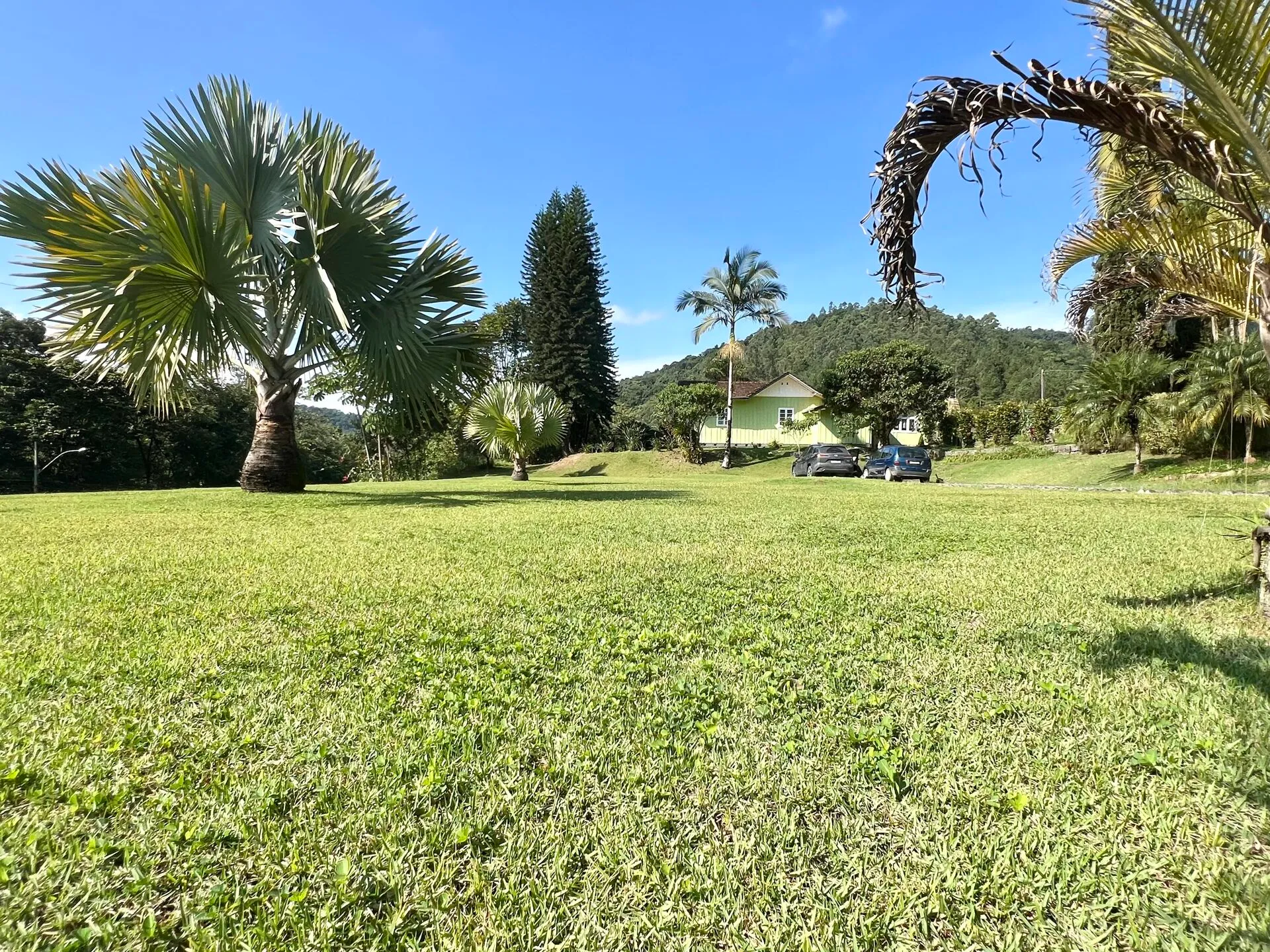 Sítio em Benedito Novo/SC - foto 1