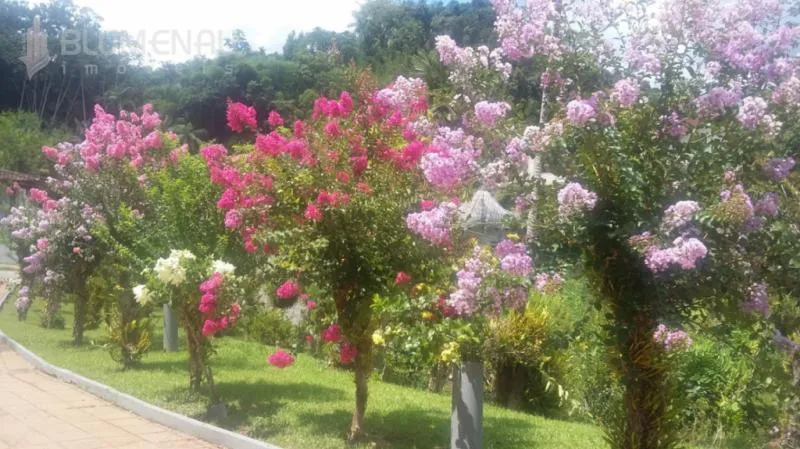 Excelente Residência, ampla e muito confortável, no inicio do Garcia, área central, com terreno de 1.933,45m2 e casa com área útil de 226,52.linda área verde, em local privilegiado e livre de enchentes e enxurradas . Mobília será retirada. — foto 2