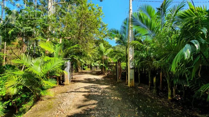 Linda propriedade rural em Luiz Alves! São aproximadamente 3,5 hectares (34.480,00 m) edificado com uma casa de alvenaria e um galpão, a propriedade conta com águas cristalinas, lagoa, horta e árvores frutíferas. — foto 3
