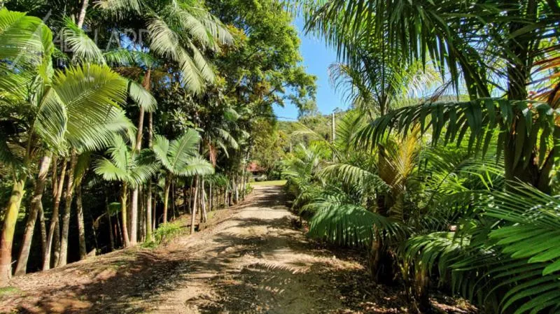 Linda propriedade rural em Luiz Alves! São aproximadamente 3,5 hectares (34.480,00 m) edificado com uma casa de alvenaria e um galpão, a propriedade conta com águas cristalinas, lagoa, horta e árvores frutíferas. — foto 4