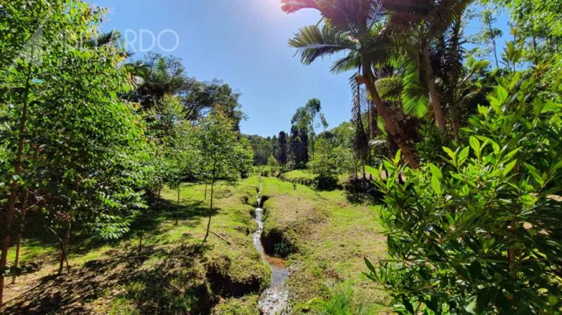 Linda propriedade rural em Luiz Alves! São aproximadamente 3,5 hectares (34.480,00 m) edificado com uma casa de alvenaria e um galpão, a propriedade conta com águas cristalinas, lagoa, horta e árvores frutíferas. — foto 5