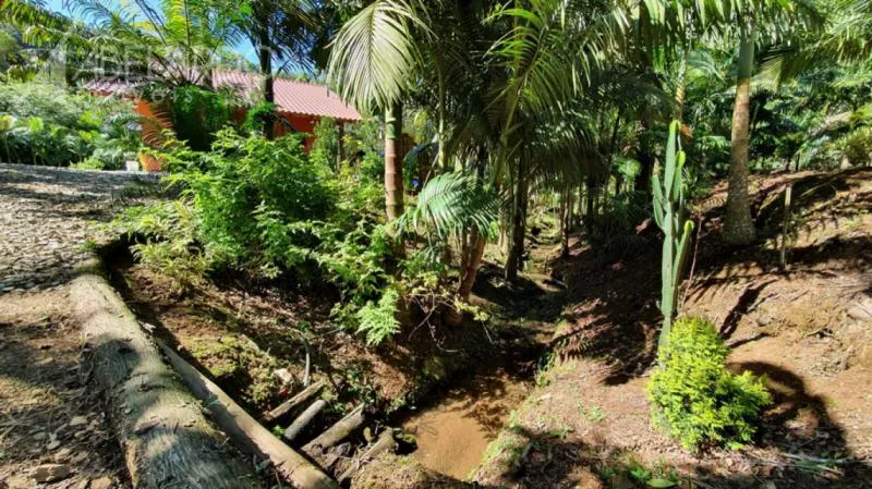 Linda propriedade rural em Luiz Alves! São aproximadamente 3,5 hectares (34.480,00 m) edificado com uma casa de alvenaria e um galpão, a propriedade conta com águas cristalinas, lagoa, horta e árvores frutíferas. — foto 7