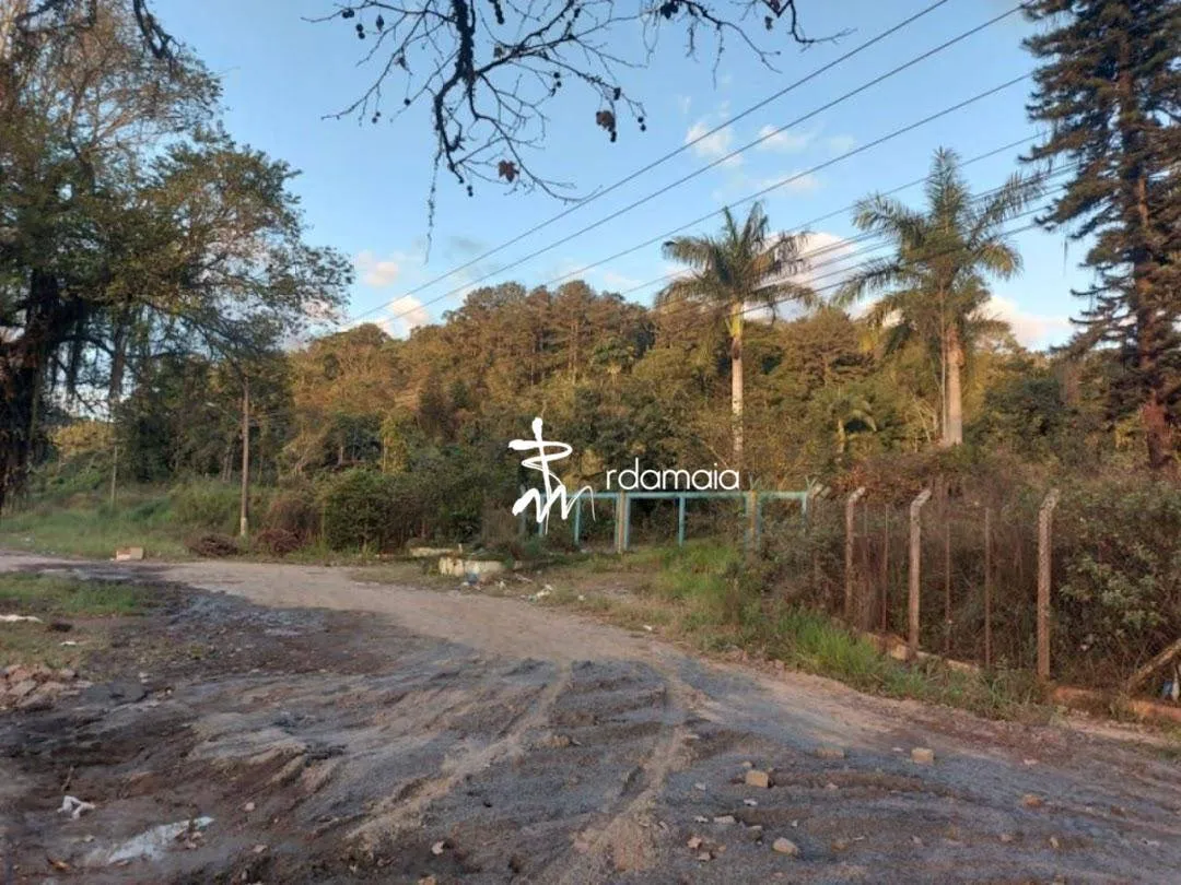 Terreno a margem da BR 470 Blumenau — foto 3