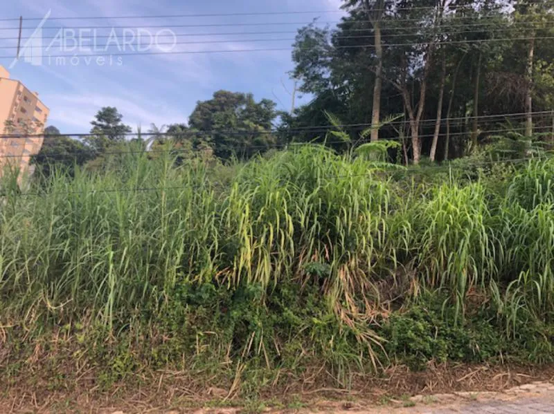ÓTIMO TERRENO - VILA NOVAProcurando um terreno a fim de construir residência ou sobrados, em uma rua tranquila e sem saída? Temos o perfeito pra você! — foto 2