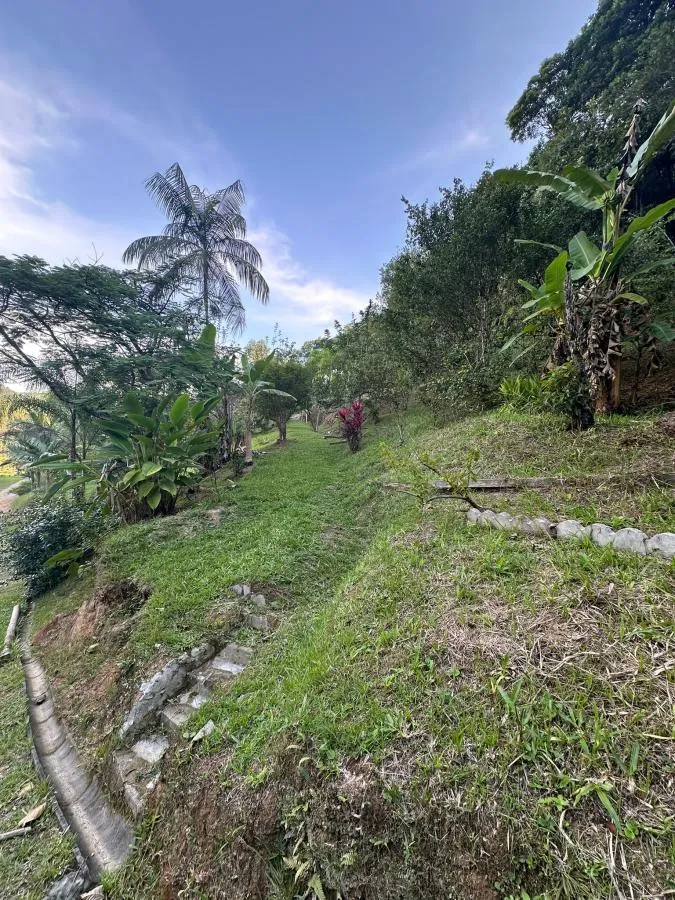 Imóvel Rural à venda com 4 quartos, 203830m² no Warnow, Indaial - foto 1
