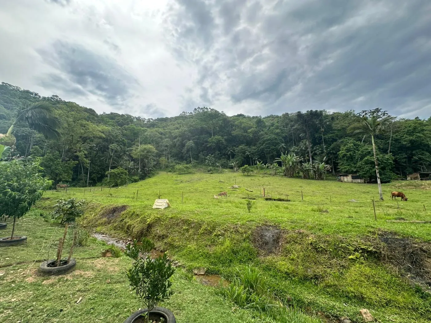 Imóvel Rural à venda com 2 quartos, 1 vaga, 59524m² no Encano do Norte, Indaial - foto 1