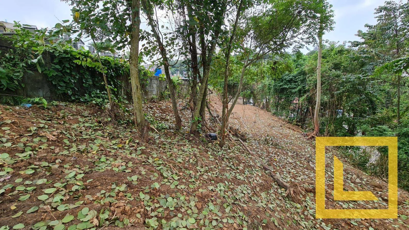 Terreno à venda, 684 m por R$ 320.000,00 - Escola Agrícola - Blumenau/SC — foto 2