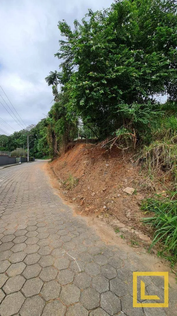 Terreno à venda, 684 m por R$ 320.000,00 - Escola Agrícola - Blumenau/SC — foto 5
