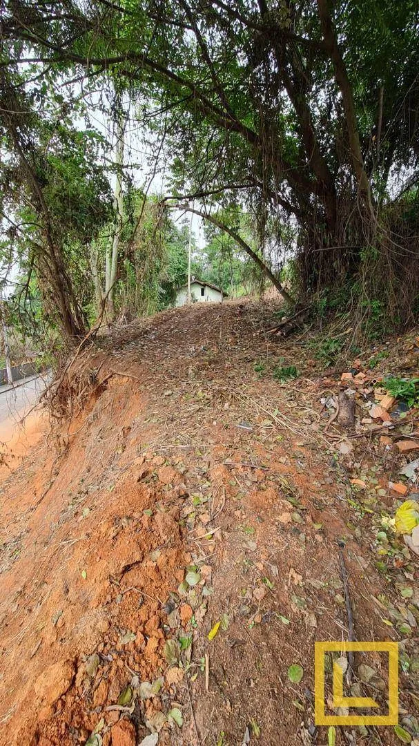 Terreno à venda, 684 m por R$ 320.000,00 - Escola Agrícola - Blumenau/SC — foto 6