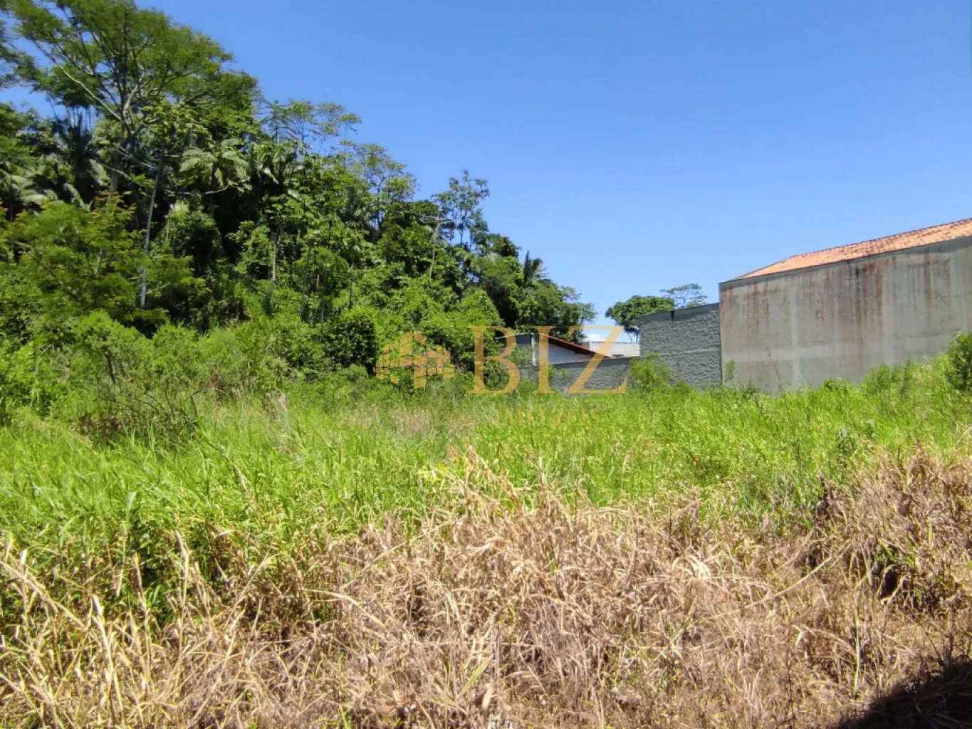 Terreno à venda, 6700m² no Escola Agrícola, Blumenau - foto 1
