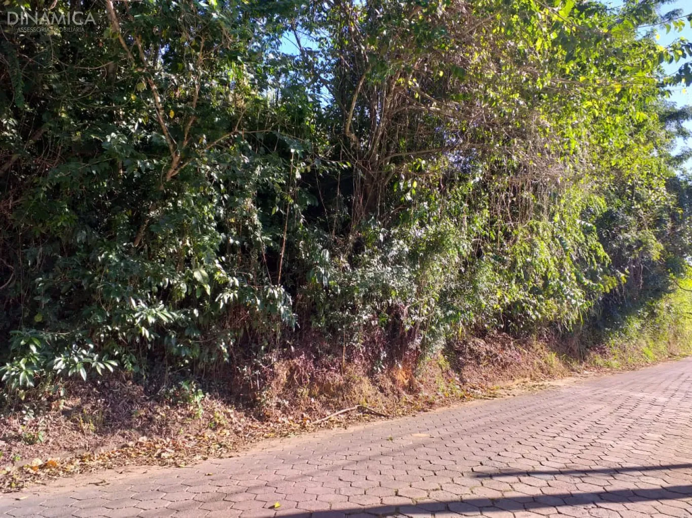 Terreno 684 m 2 no Bairro Salto!
Localização bem próxima Rua Bahia!
Pode ser construído Sobrados ou Ponto Comercial! — foto 2