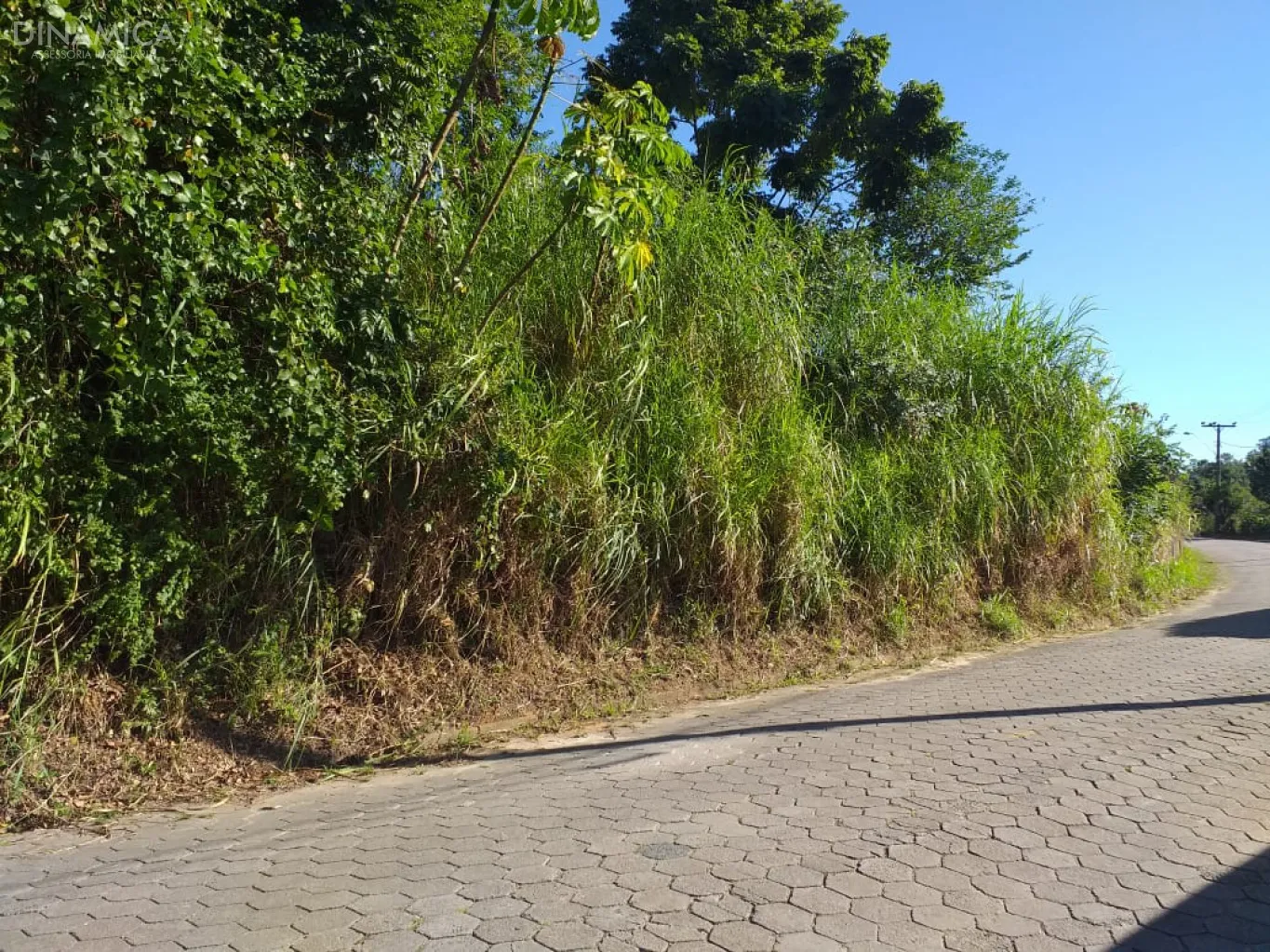 Terreno 684 m 2 no Bairro Salto!
Localização bem próxima Rua Bahia!
Pode ser construído Sobrados ou Ponto Comercial! — foto 3