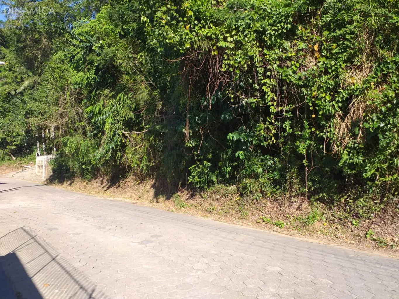 Terreno 684 m 2 no Bairro Salto!
Localização bem próxima Rua Bahia!
Pode ser construído Sobrados ou Ponto Comercial! — foto 5