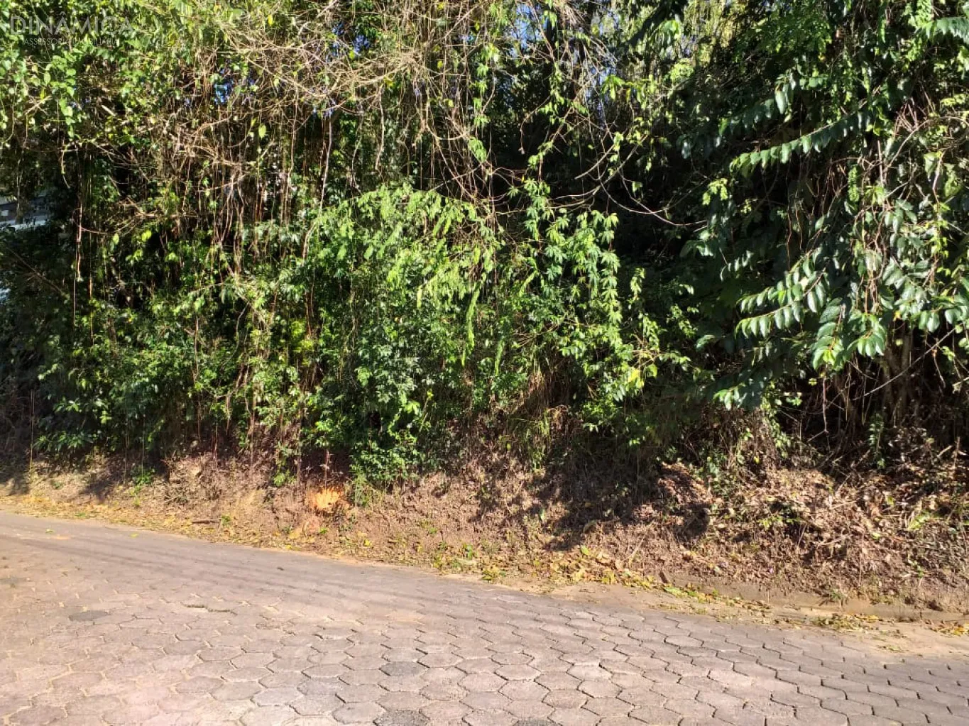 Terreno 684 m 2 no Bairro Salto!
Localização bem próxima Rua Bahia!
Pode ser construído Sobrados ou Ponto Comercial! — foto 7