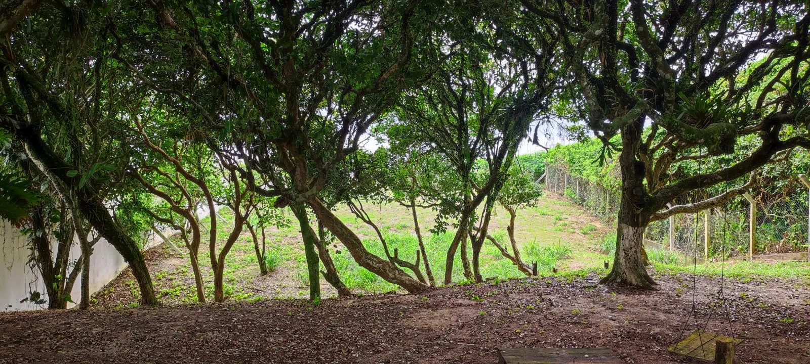 Terreno à venda, 1080m² na região do bairro Estaleirinho, próximo à Avenida Rodesindo Pavan, Balneário Camboriú — foto 3