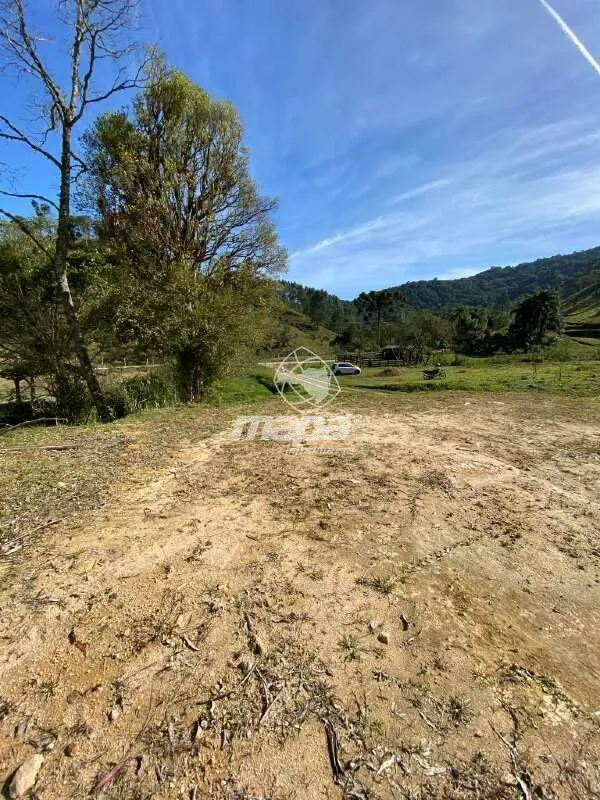 Terreno Rural à venda, Palmeiras - Rio dos Cedros/SC — foto 4