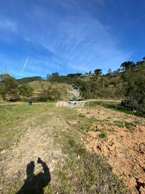 Terreno Rural à venda, Palmeiras - Rio dos Cedros/SC — foto 5