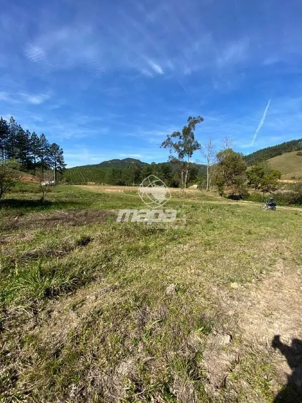 Terreno Rural à venda, Palmeiras - Rio dos Cedros/SC — foto 6