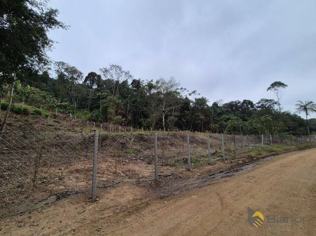 Terreno à venda, 23369 m por R$ 1.000.000,00 - Itoupava Norte - Blumenau/SC - foto 1
