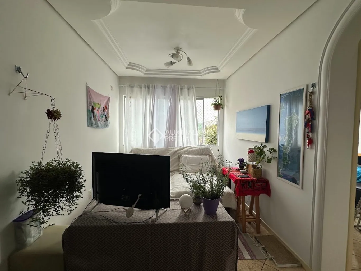Apartamento à venda com 3 quartos, 1 vaga, 67m² no Itacorubí, Florianópolis - foto 1