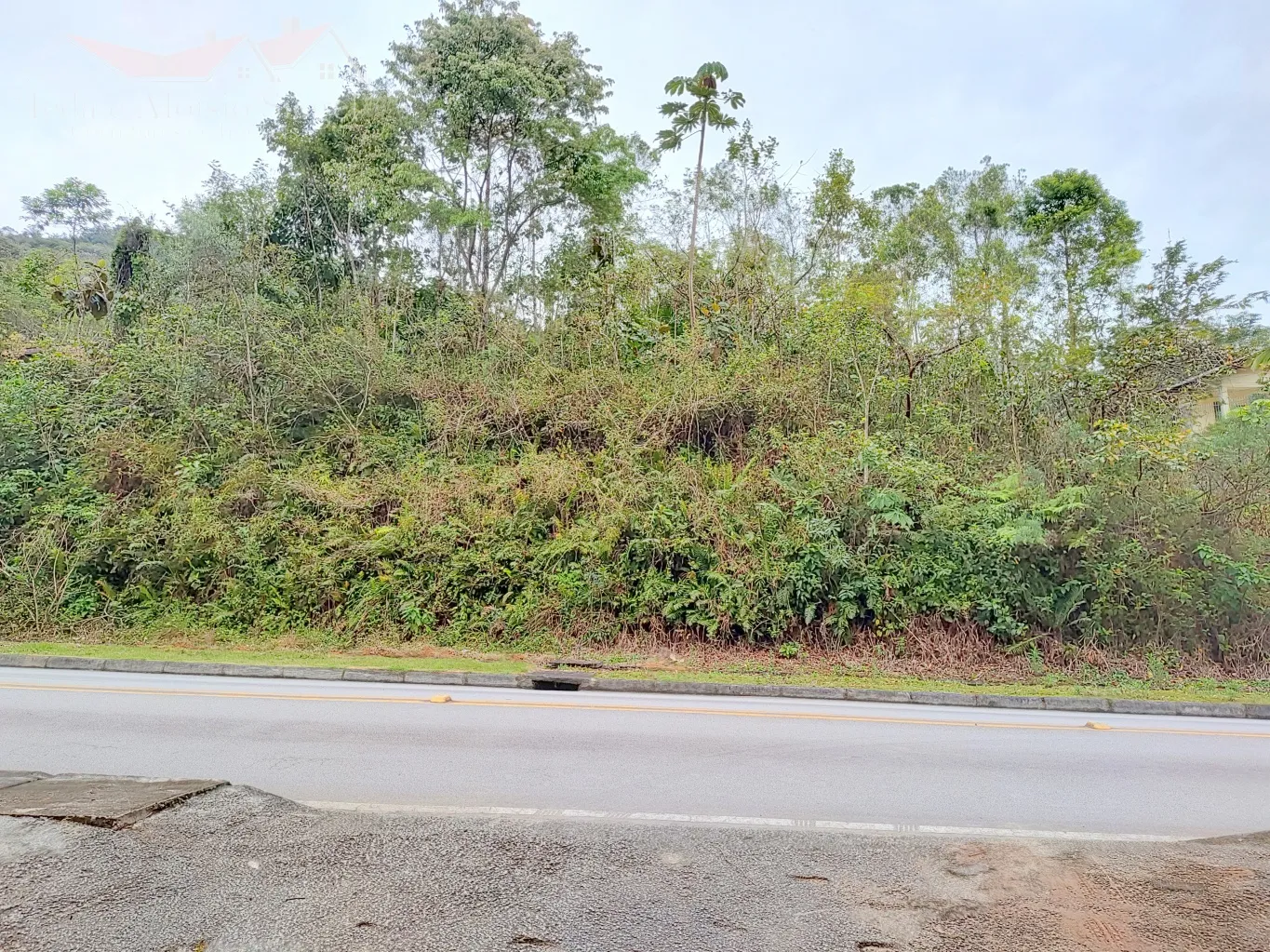 Terreno para Sítio/Chácara no Bairro Progresso em Blumenau Ref. 623 - foto 1