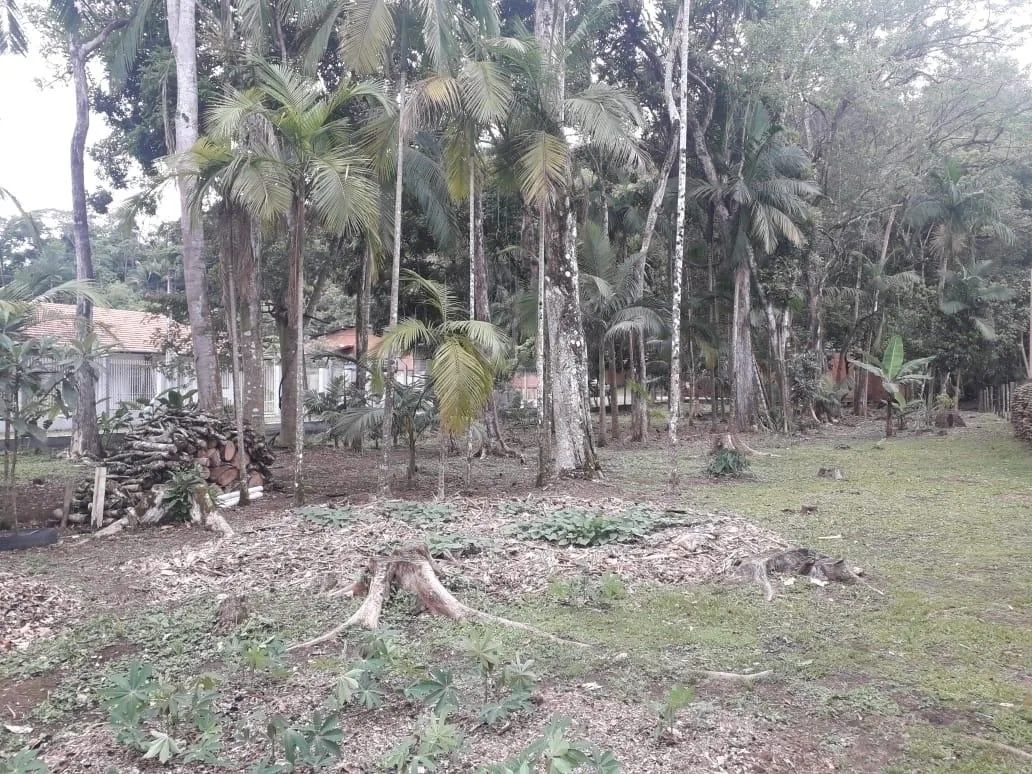 Terreno à venda, 4255 m por R$ 1.850.000,00 - Itoupava Central - Blumenau/SC — foto 3