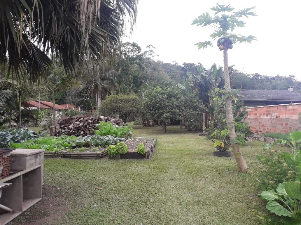 Terreno à venda, 4255 m por R$ 1.850.000,00 - Itoupava Central - Blumenau/SC — foto 4