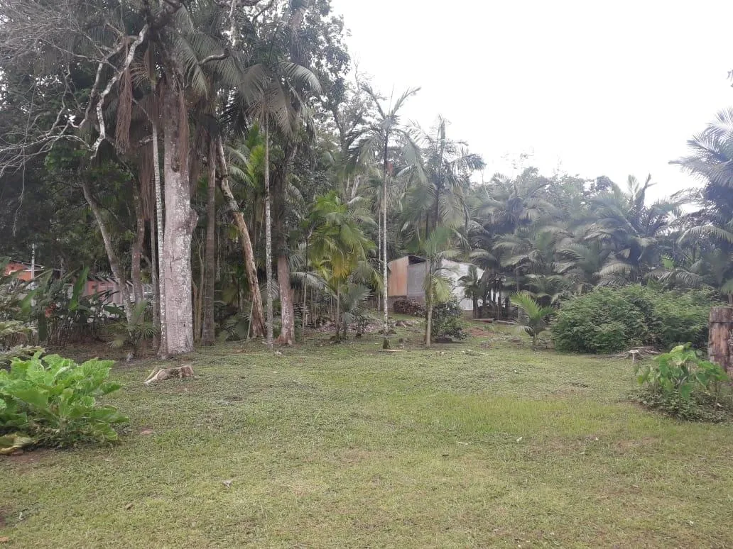 Terreno à venda, 4255 m por R$ 1.850.000,00 - Itoupava Central - Blumenau/SC — foto 5