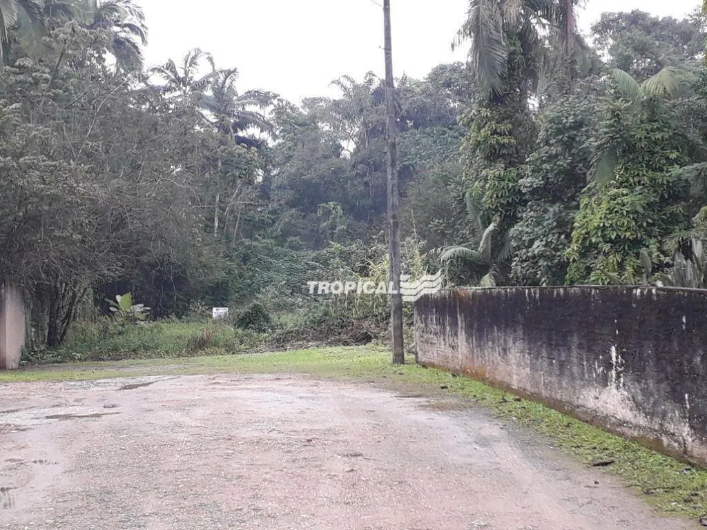 Terreno à venda, 1032 m por R$ 340.000,00 - Ribeirão Fresco - Blumenau/SC — foto 3