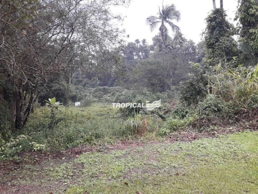 Terreno à venda, 1032 m por R$ 340.000,00 - Ribeirão Fresco - Blumenau/SC — foto 4