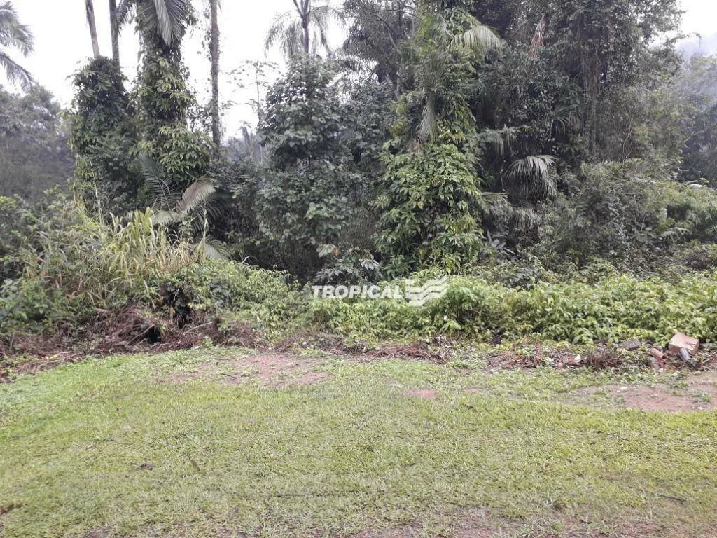 Terreno à venda, 1032 m por R$ 340.000,00 - Ribeirão Fresco - Blumenau/SC — foto 2