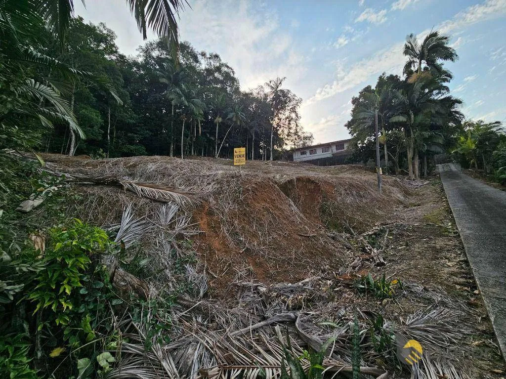 Terreno à venda, 3135 m por R$ 469.000,00 - Badenfurt - Blumenau/SC — foto 2